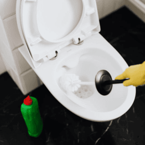 Reinigung nach HACCP Standards